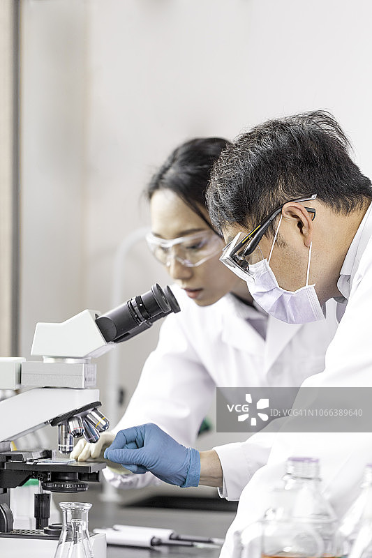 在实验室里做实验图片素材