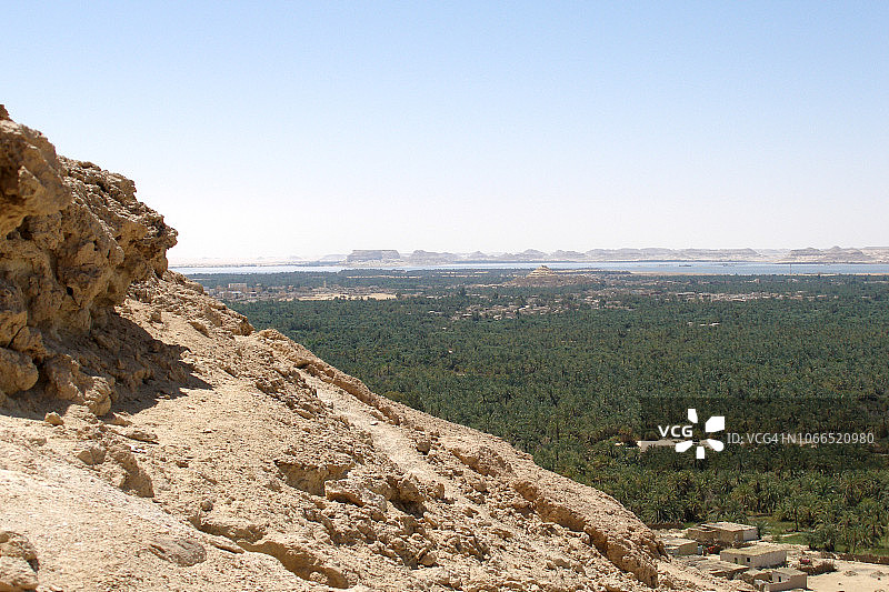埃及沙漠锡瓦绿洲棕榈树林全景图图片素材