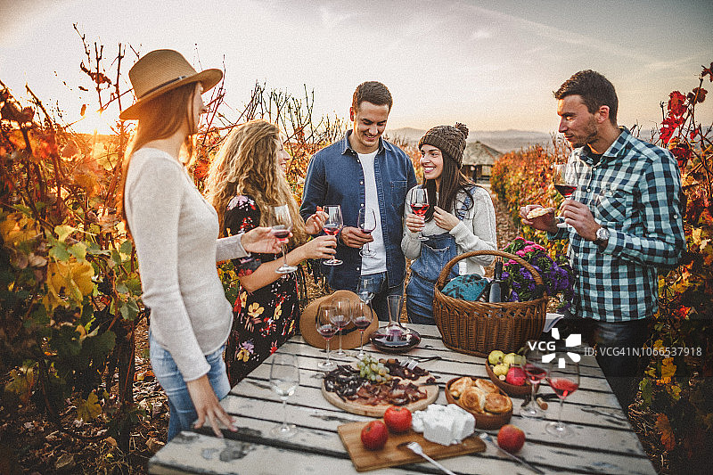 在葡萄园品尝葡萄酒图片素材