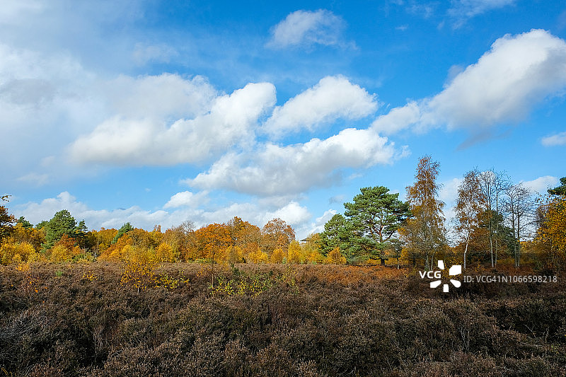 英国伯克郡的秋色图片素材