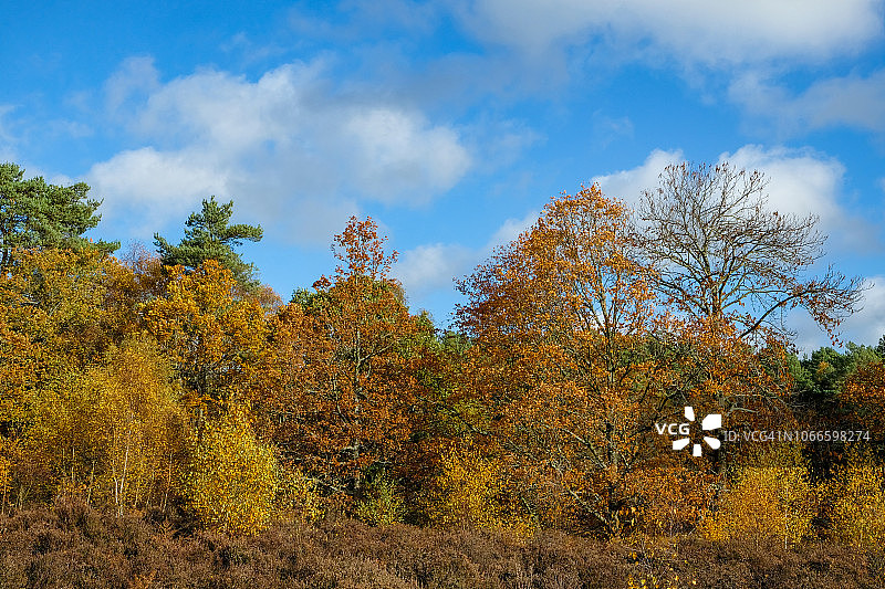 英国伯克郡的秋色图片素材