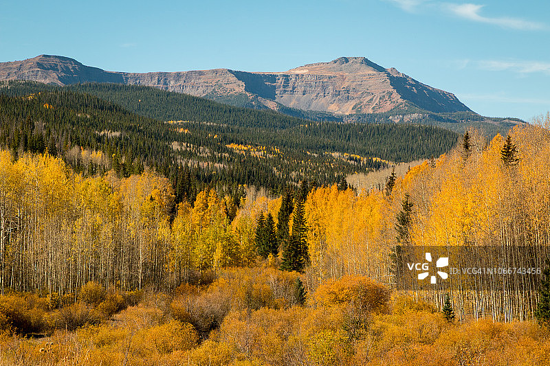 科罗拉多州平顶荒原的秋色图片素材