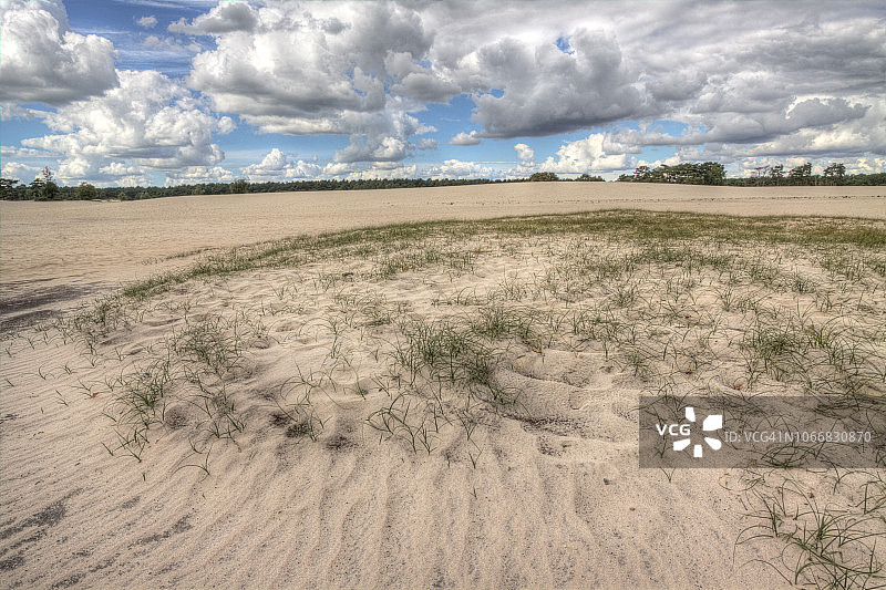 流沙景观图片素材