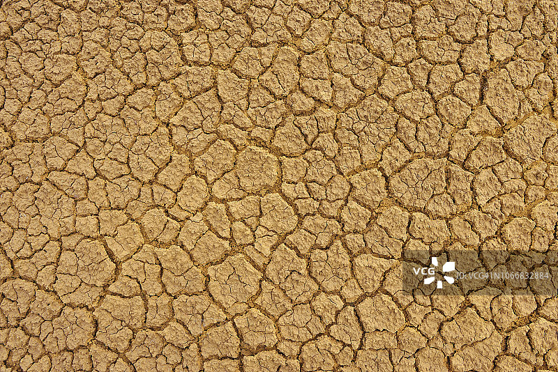 干燥开裂的泥土，全画幅拍摄。葡萄牙马德拉圣洛伦索角，欧洲。图片素材