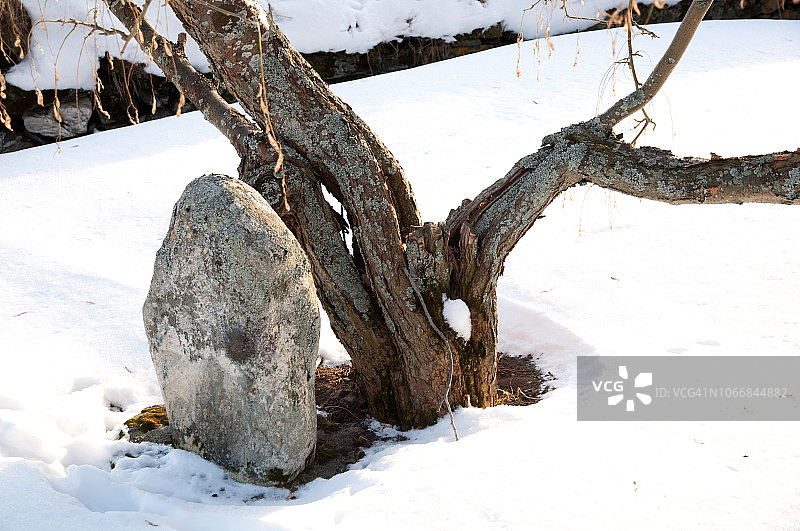 挪威哈尔斯塔教堂的墓碑图片素材