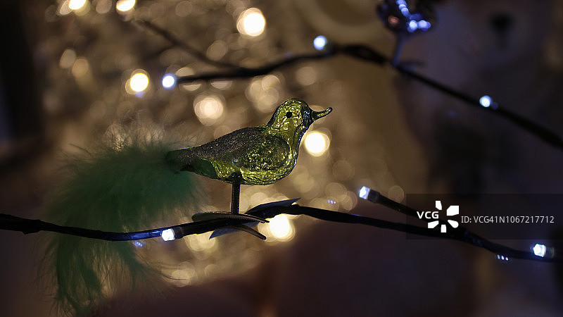 玻璃鸟图片素材