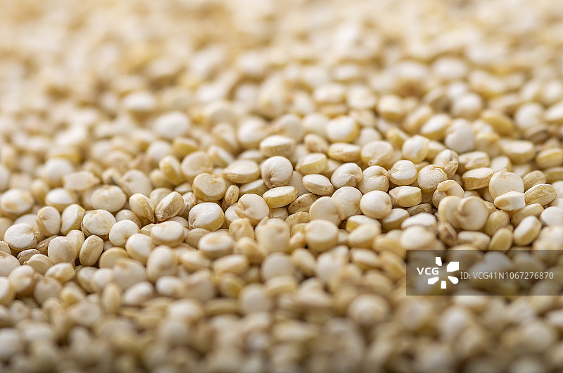 黑白红藜麦豆图片素材