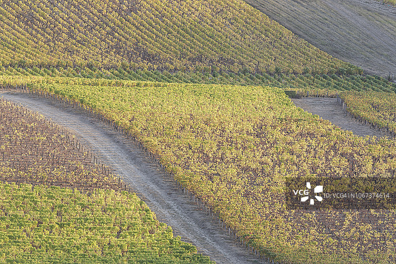 法国桑塞尔葡萄园的秋色图片素材