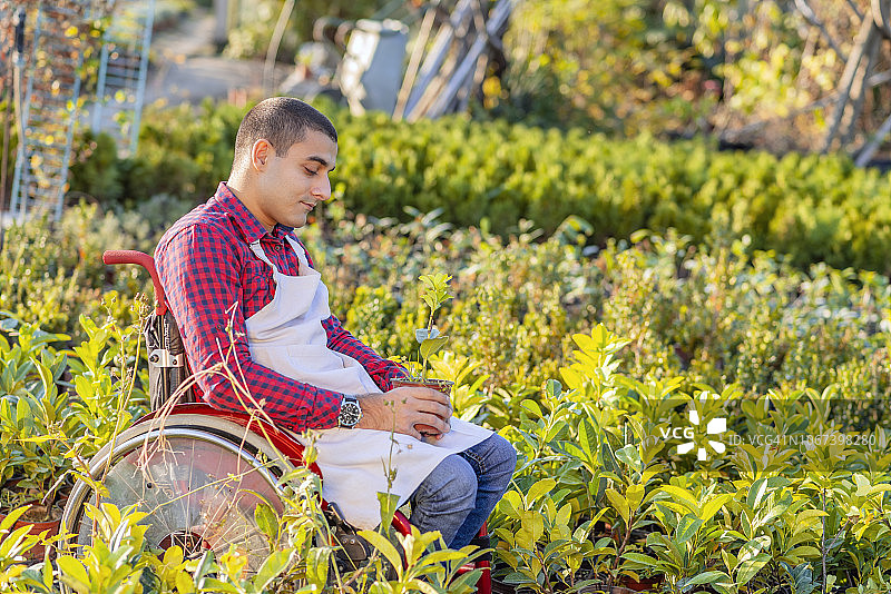 通过园艺保持积极高效的生活图片素材