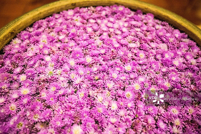 鲜花，印度喀拉拉邦图片素材