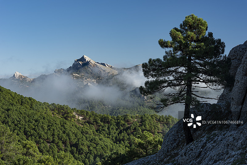 洛斯皮卡拉索斯岩层，西班牙卡斯蒂利亚-拉曼查自治区图片素材