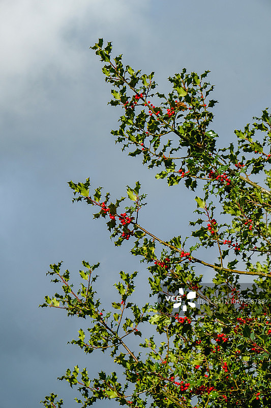 英国伯克郡的秋色图片素材