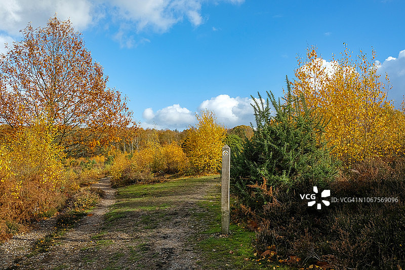 英国伯克郡的秋色图片素材
