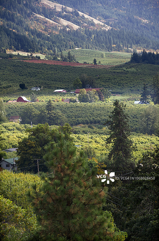 胡德河谷的秋天图片素材