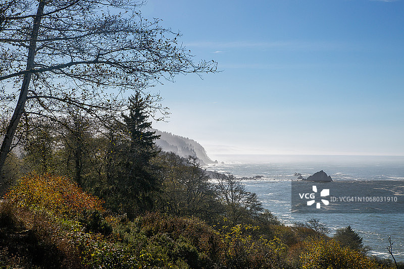 太平洋西北海岸的雾气，海滩上可见海蚀柱和森林图片素材
