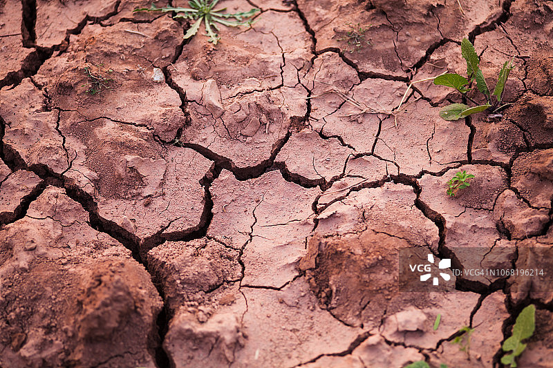 干裂的土地图片素材