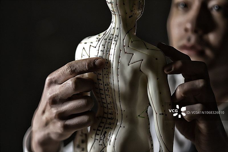 中医在模型上展示针灸穴位图片素材