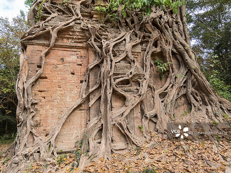 桑博波雷空，柬埔寨磅同 - Ashram Issey图片素材