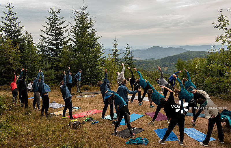 一群年轻人在森林里做瑜伽图片素材