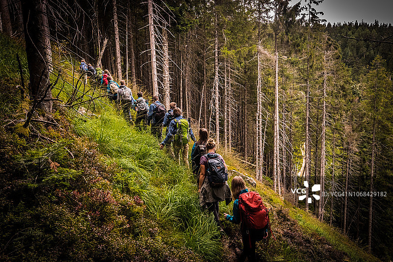 背着背包的年轻探险家徒步穿越森林图片素材