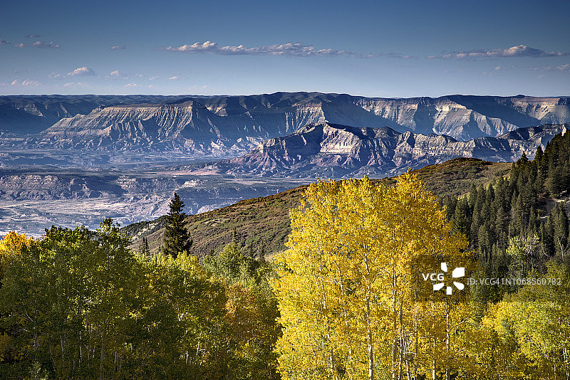 科罗拉多州西部德贝克峡谷，高原溪峡谷，大梅萨国家公园，白杨树图片素材