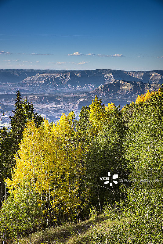 科罗拉多州西部德贝克峡谷，高原溪峡谷，大梅萨国家公园，白杨树图片素材