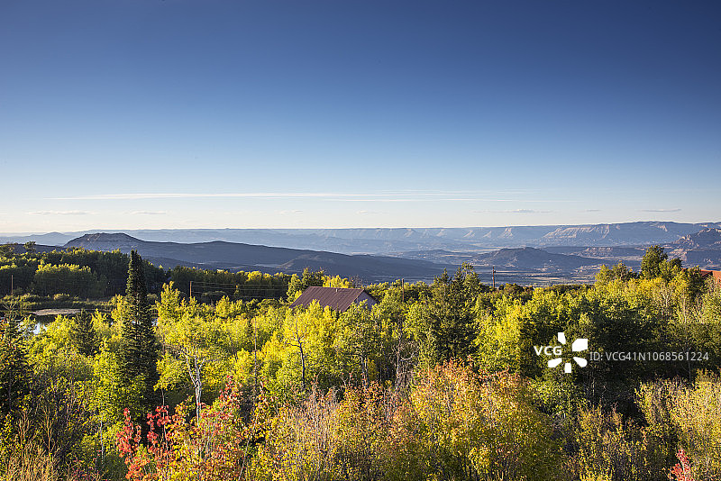 科罗拉多州西部德贝克峡谷，高原溪峡谷，大梅萨国家公园，白杨树图片素材
