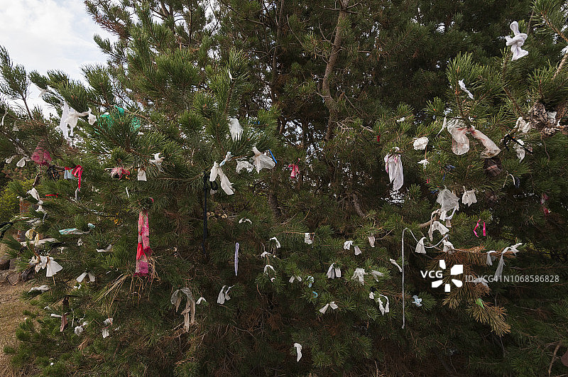 塞凡那旺克修道院树上的祭品图片素材