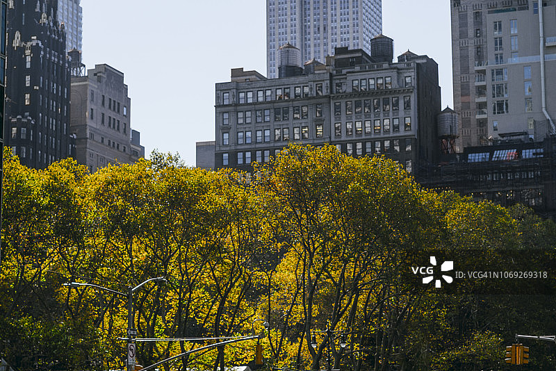 秋季纽约布莱恩特公园和天际线图片素材