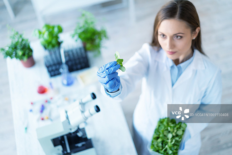 女生物学家在实验室里拿着植物图片素材