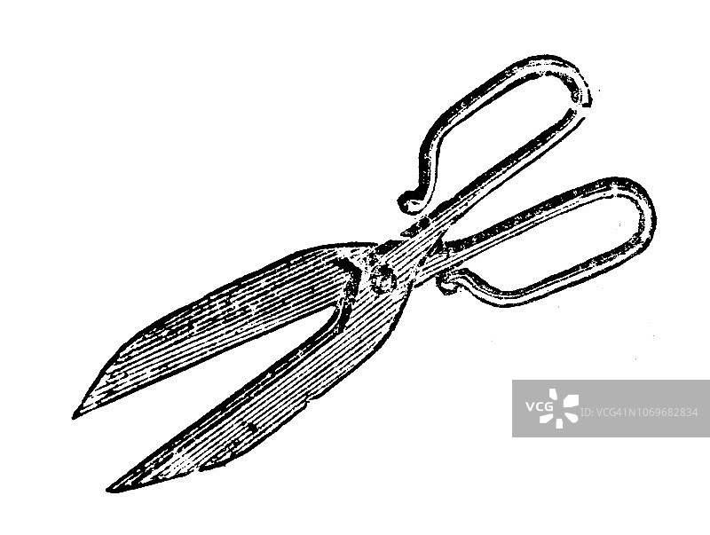 古董雕刻插图：剪刀图片素材