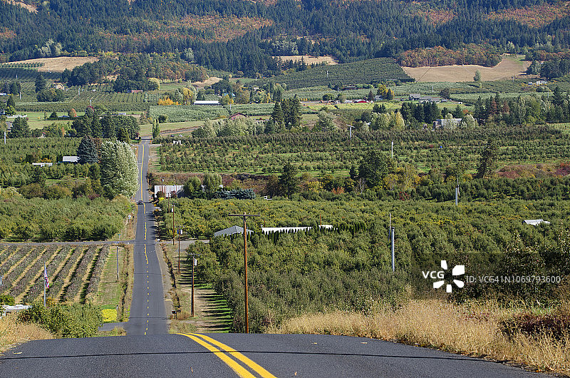 乡间小路图片素材