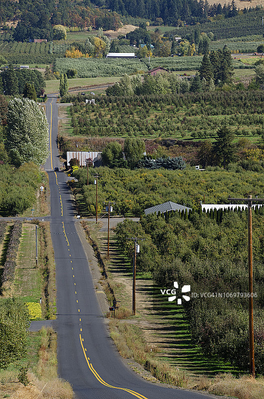 乡间小路图片素材