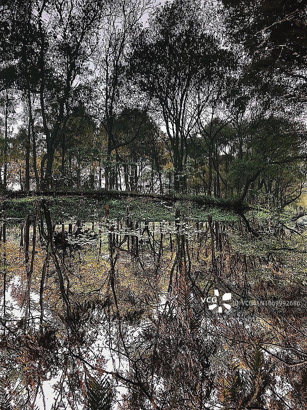 杭州西湖图片素材