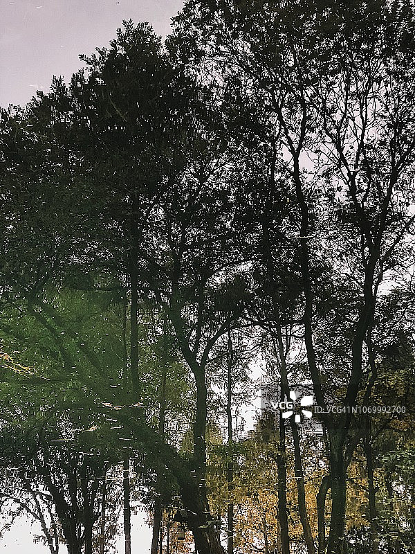 杭州西湖图片素材