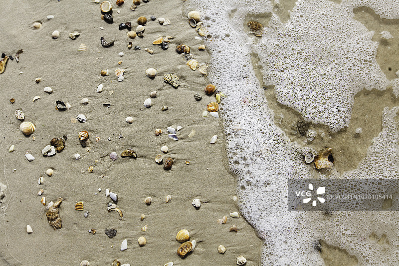 高视角阿拉巴马州多芬岛海滩贝壳与海浪图片素材
