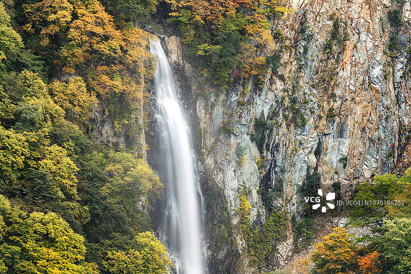 日本秋季的甘满瀑布特写图片素材