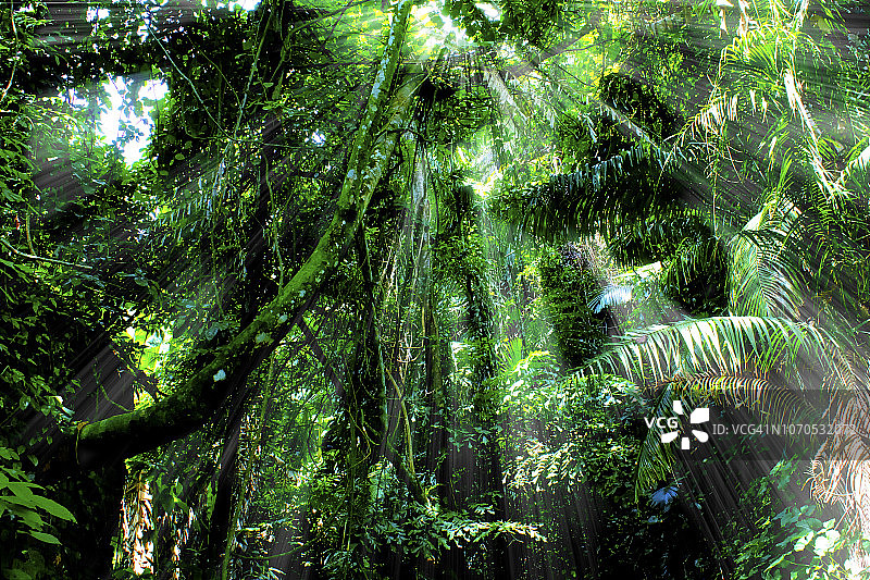 努沙甘榜岸岛的光芒图片素材