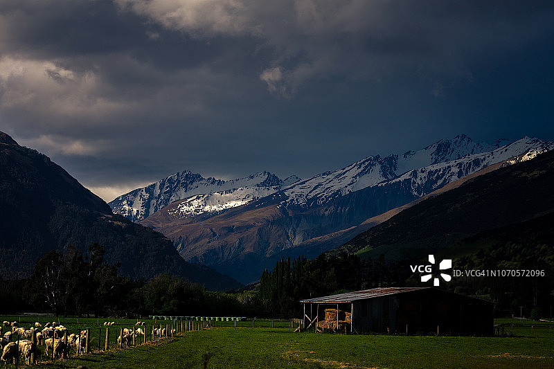 新西兰乡村风光图片素材
