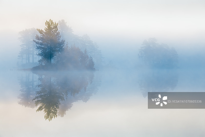 雾中树木图片素材