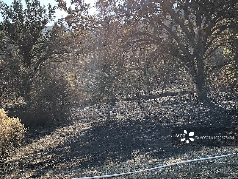 美国加州阿古拉市2018年火灾后的烧毁区域图片素材