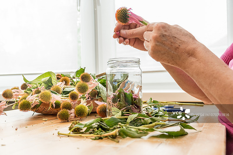 年长的白人女性手工制作传统紫锥菊酊剂特写图片素材