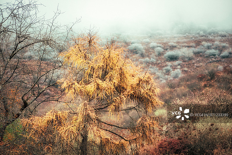 中国四川的秋色图片素材