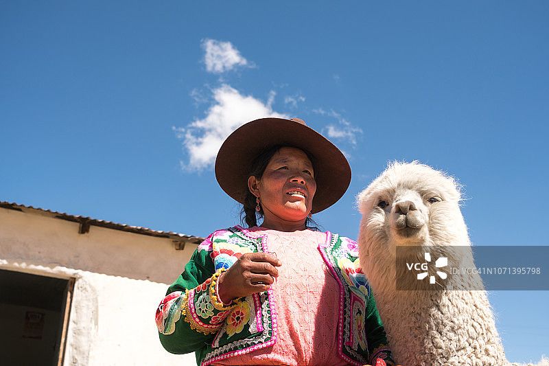 抱着可爱羊驼的秘鲁妇女图片素材