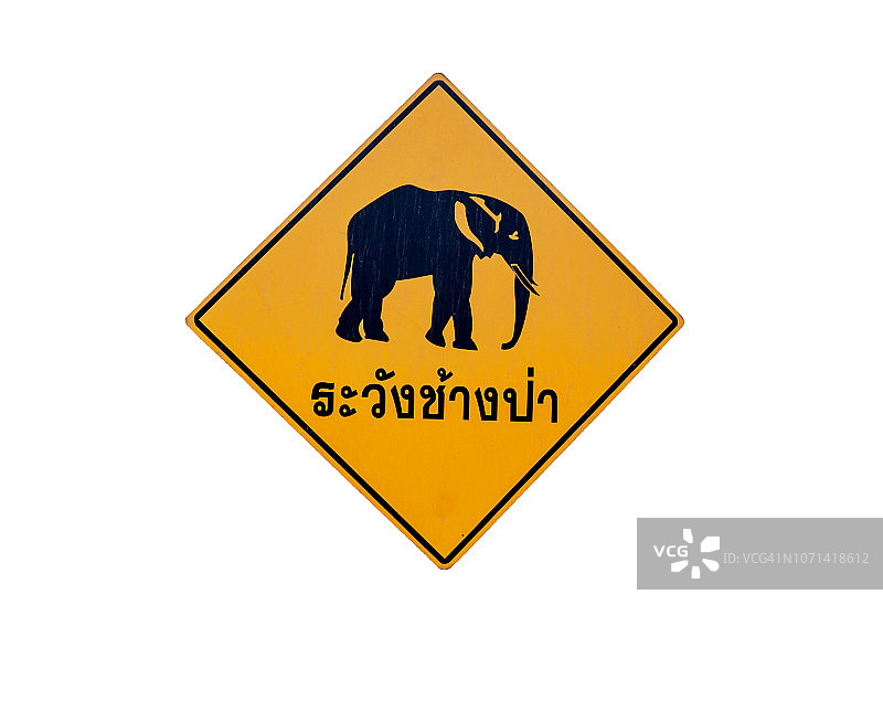 白色背景上孤立的大象警告交通标志图片素材