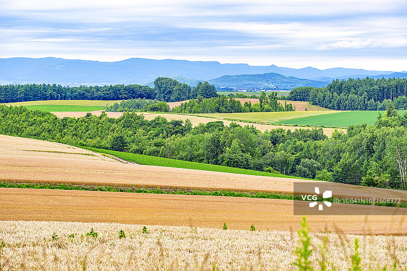 日本北海道美瑛拼布之路夏季风光图片素材