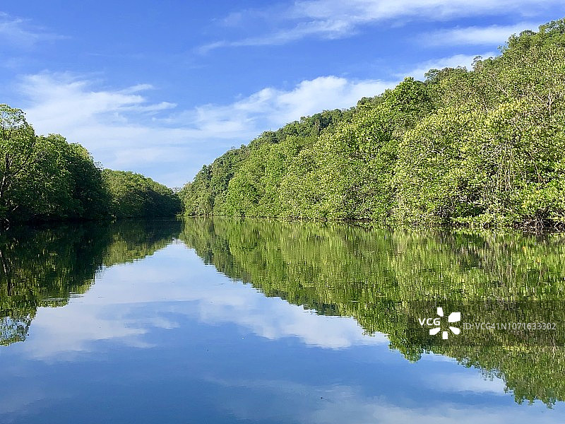 阁骨岛：空昭运河的红树林美景图片素材