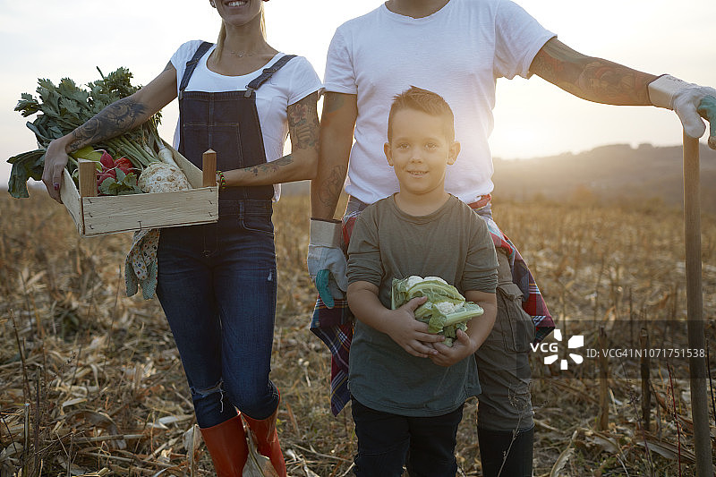 有机农场图片素材