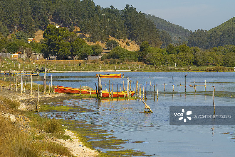 智利皮奇莱穆图片素材