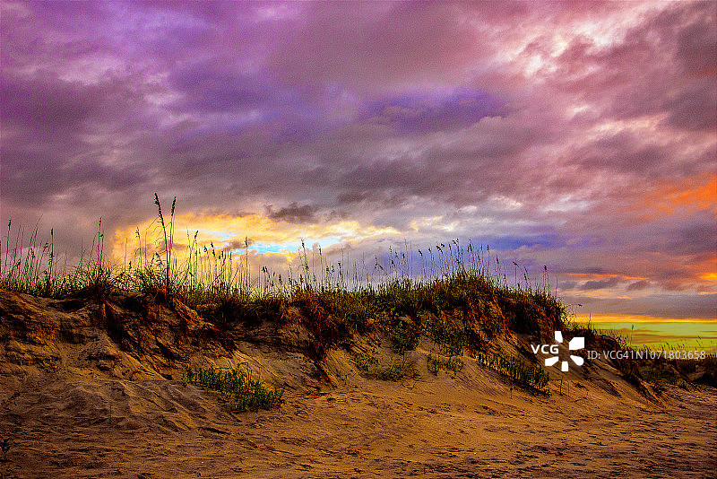 海燕麦与云彩图片素材